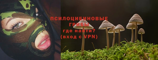 первитин Балахна