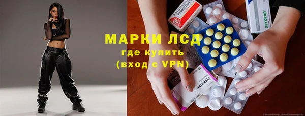 стаф Баксан