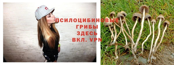 стаф Баксан