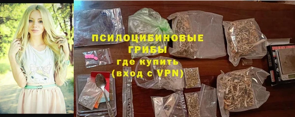 стаф Баксан